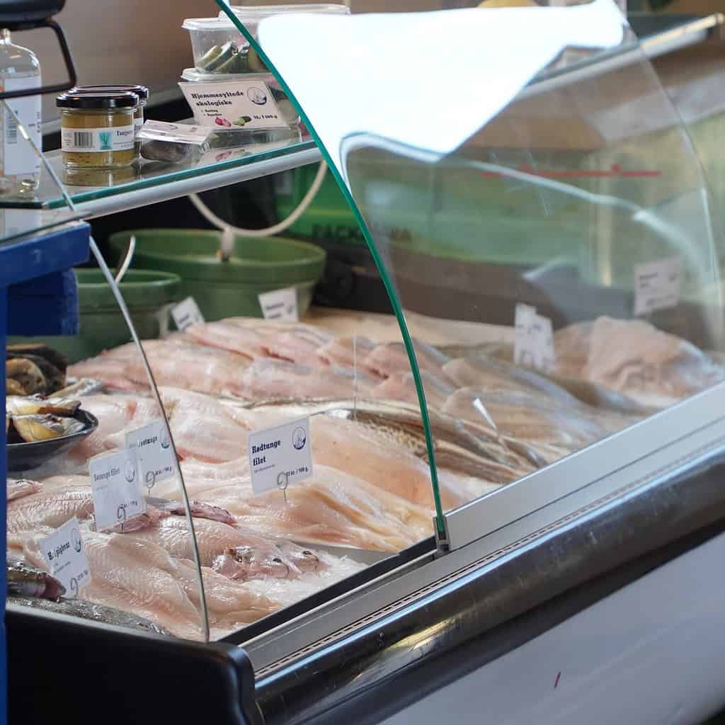 Fisk